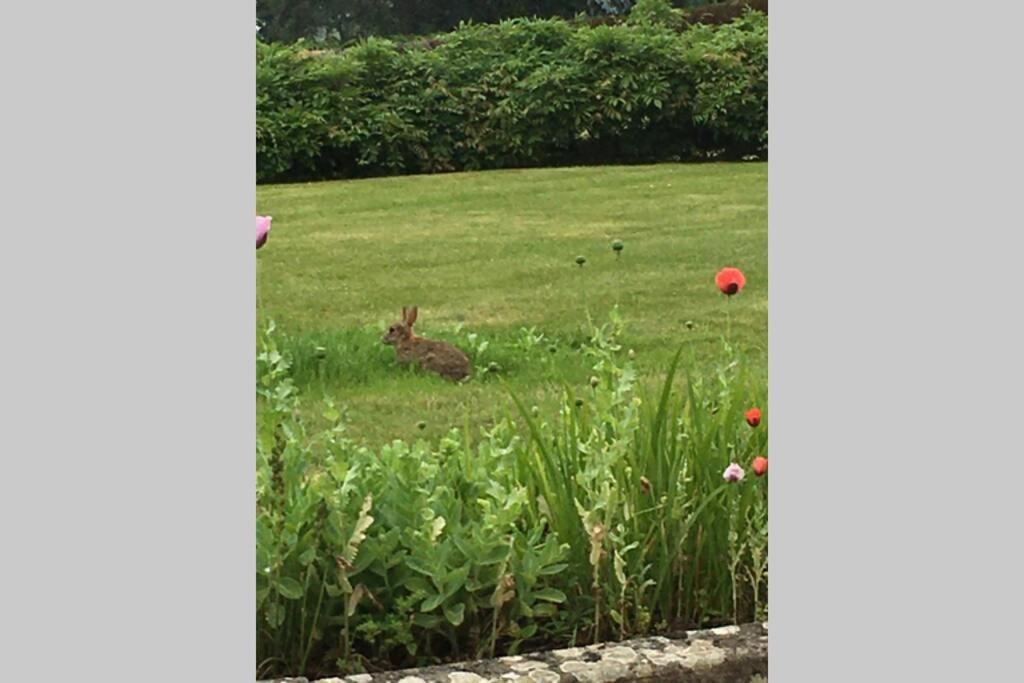 Stay On The Grounds Of This Beautiful Manor House Wimborne Minster Exterior foto
